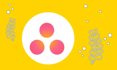 hpyci_2000x1200px_asana_1