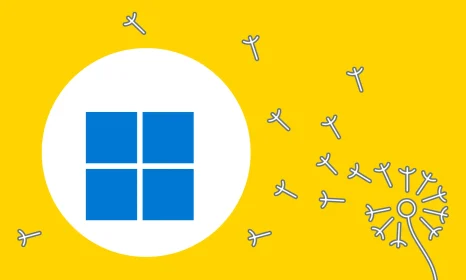 hpyci_2000x1200px_windows_1